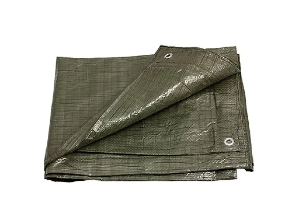 Objednat Nyní PE plachta zakrývací 6x10m 70g/1m2 zelená