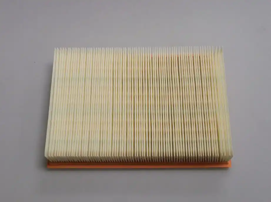 Přímo Od Výrobce Filtr CU2785 vzduchový kabinový DAF